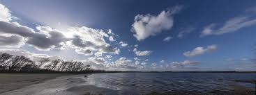 nychyk.buser2@mavericks.agency